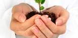 small-business-growth