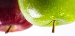 red-and-green-apples